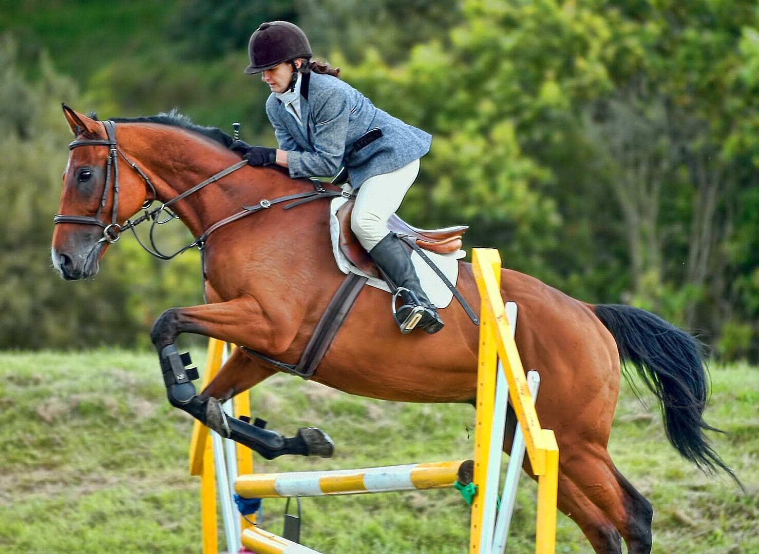 Stay Ahead with the Latest Headlines, Market Trends, and Political Shifts